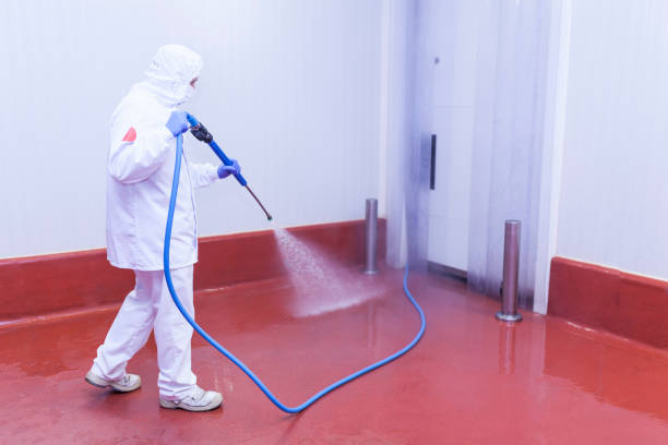 Best Spring Cleaning  in Homestead, PA